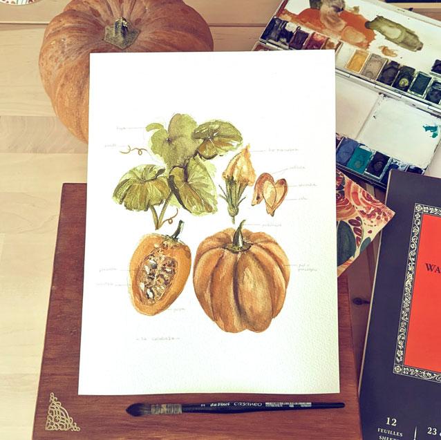 Acuarela Paso a Paso - Lámina Otoñal - La Calabaza Acuarela Paso a Paso - Lámina Otoñal - La Calabaza
