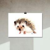 Ilustración Erizo en Acuarela