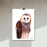 ilustración Lechuza en Acuarela