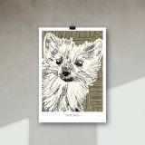 Ilustración Native - Mammalia